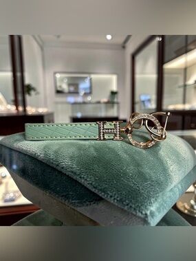 Sage Green Vegan Leather Keychain with Gold Tone Crystal Accents